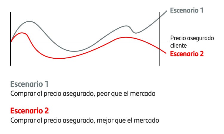Line chart comparing the insured price paid under two scenarios to show that the market price at maturity may be better or worse than the insured price.