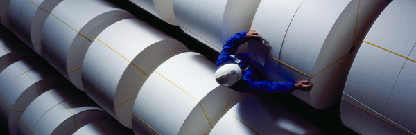 Man inspecting rolls of factory paper