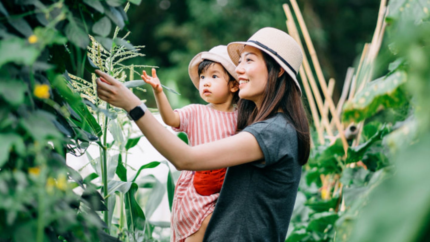 Woman holding baby looking at tree