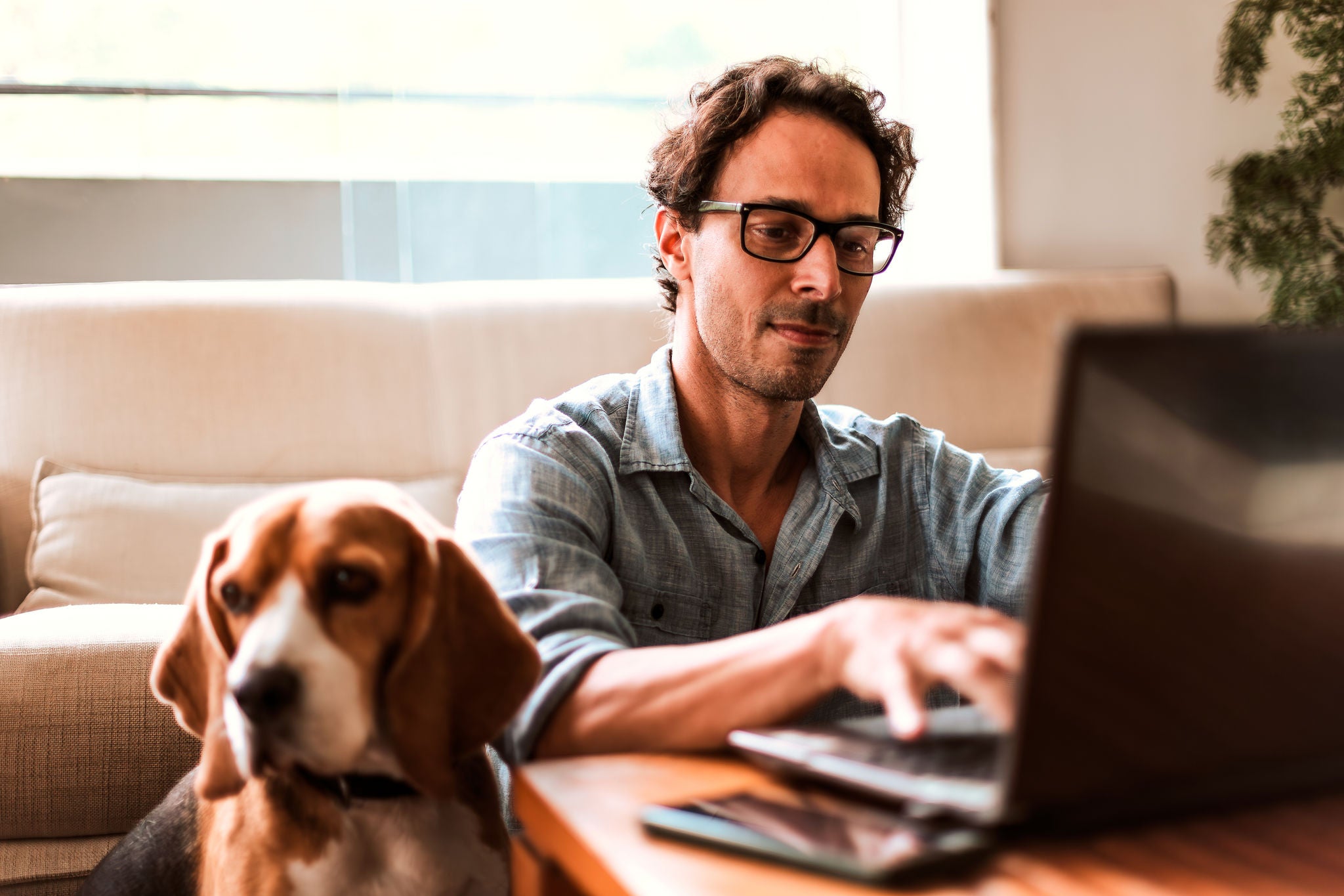 Ein Mann mit Hund am Laptop beim Kontowechsel
