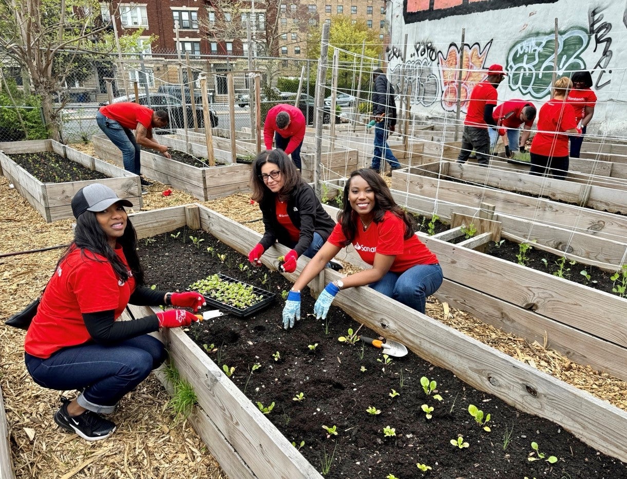 volunteers planting in garden bed