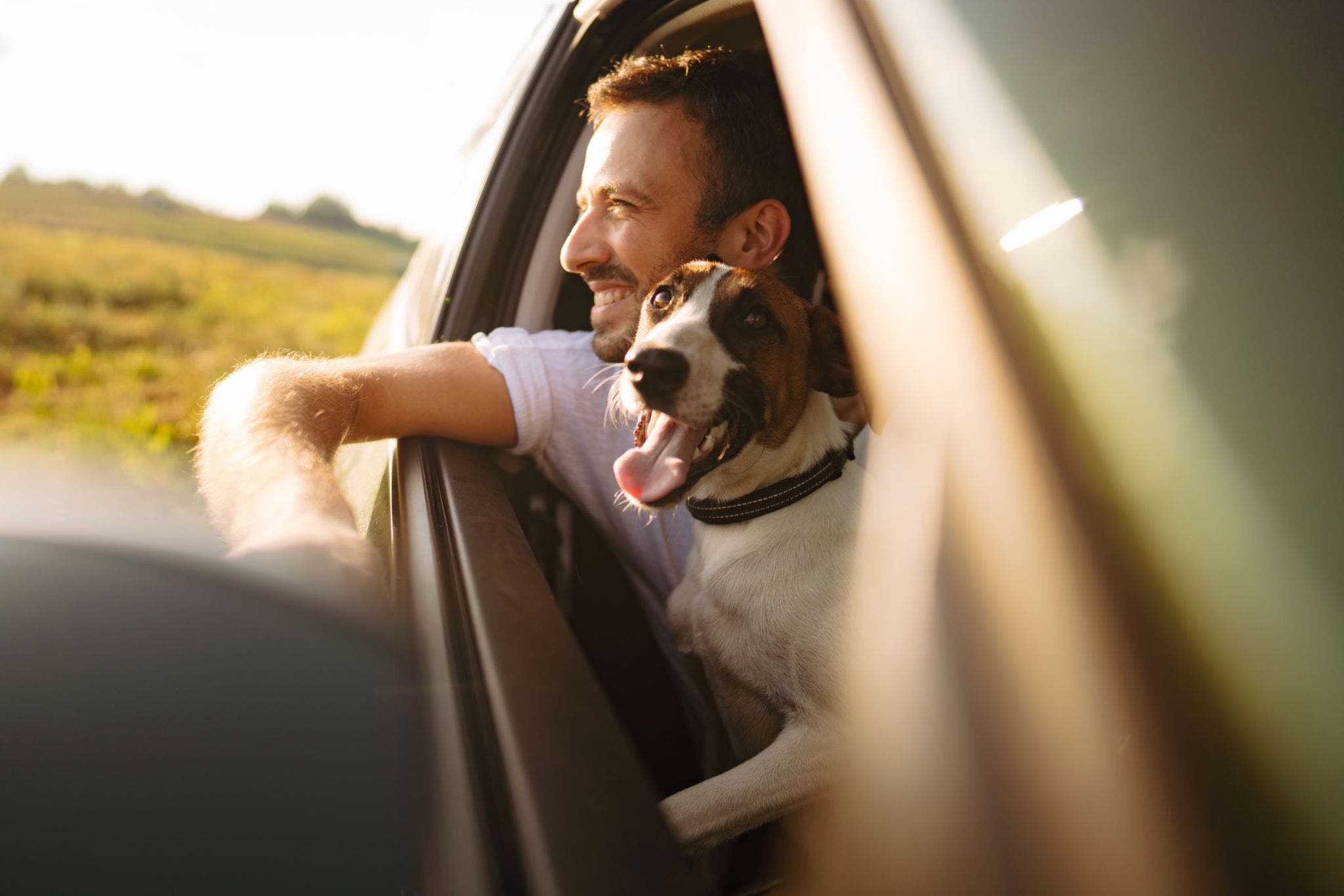 Mann mit Hund auf dem Schoß guckt aus dem Auto